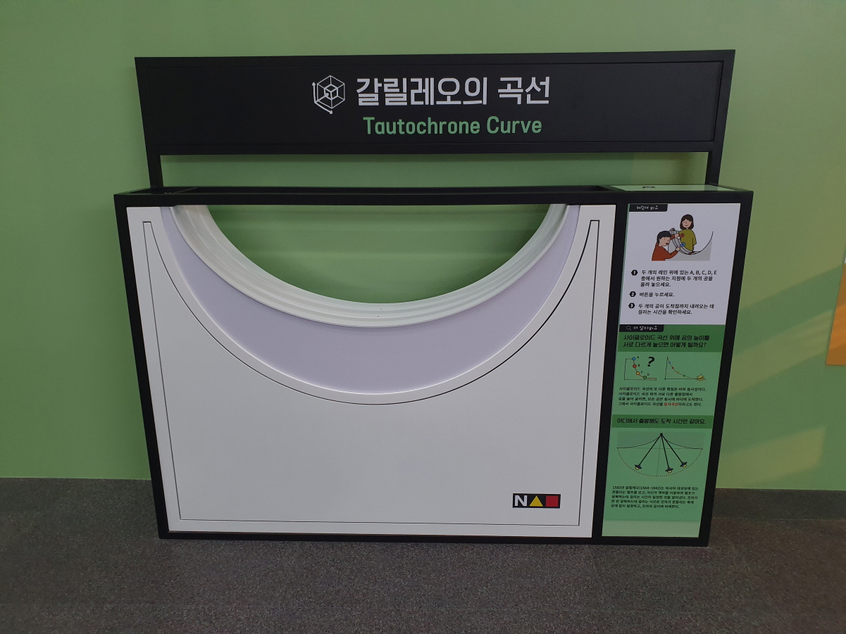 갈릴레오의 곡선