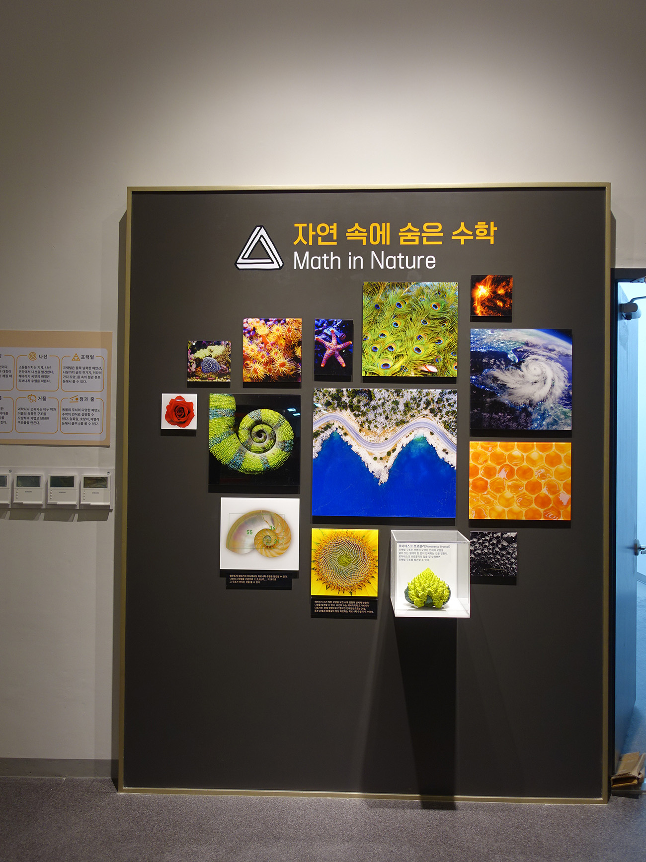 자연 속에 숨은 수학