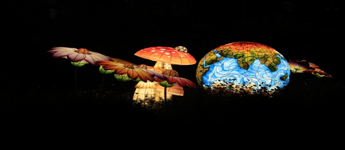 노원달빛산책 사진5