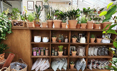 홈가드닝샵 이미지