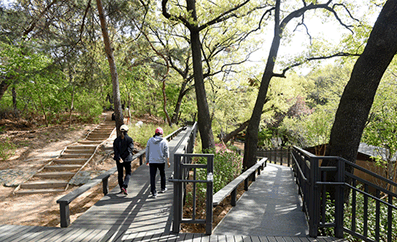 영축산 힐링타운 무장애숲길 이미지5