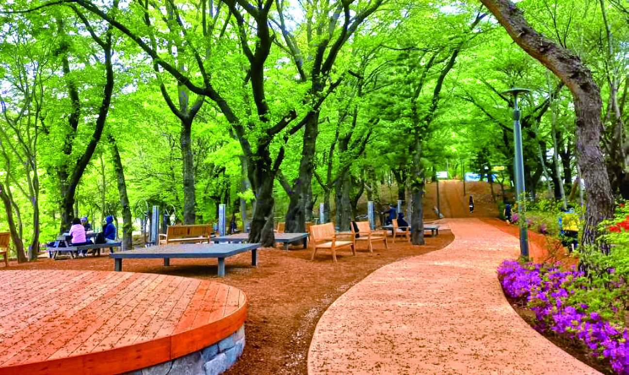 피크닉장 조성 이미지