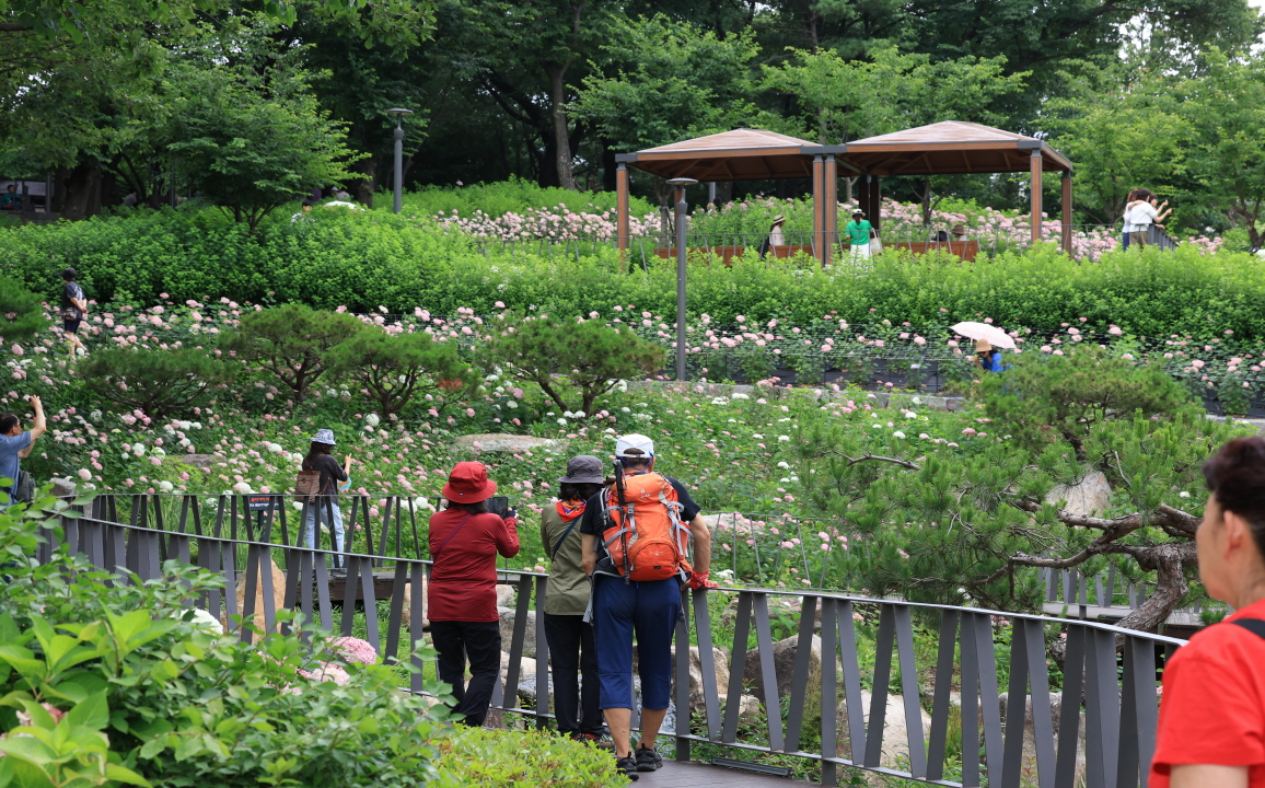 수국정원 조성 이미지
