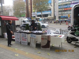 좌판 노점 정비 전